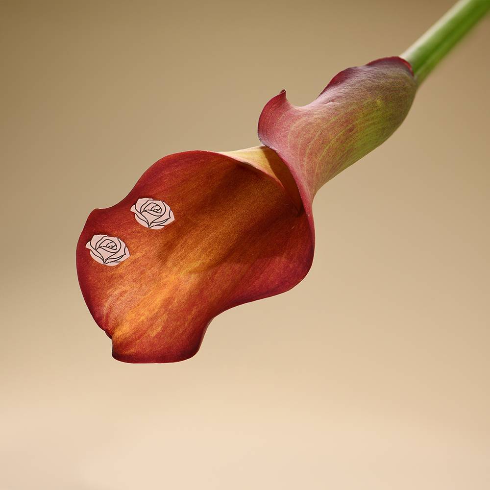 Blühende Geburtsblume Ohrstecker - rosévergoldetes Sterlingsilber-1 Blühende Geburtsblume Ohrstecker - rosévergoldetes Sterlingsilber-1 Produktfoto