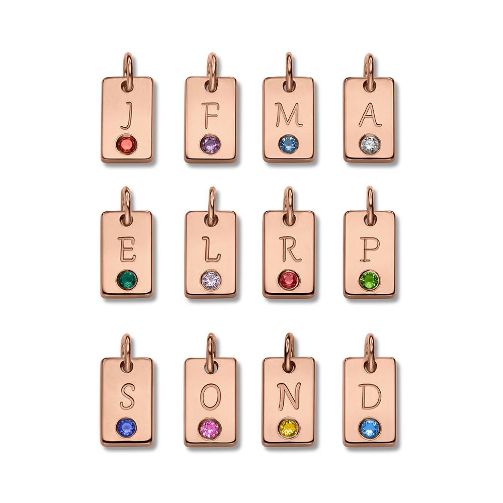 Initial & Geburtsstein Charm-Fußkettchen - rosévergoldetes Sterlingsilber-4 Produktfoto